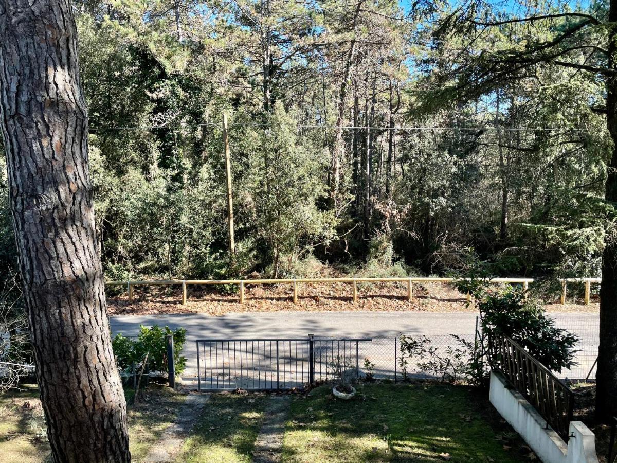 Villa Antonietta 3, Tra Pineta E Mare ビビオーネ エクステリア 写真